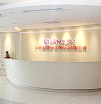 2006年