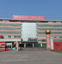 2011年